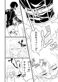 (C74) [MAKA-RAKKO (Matsushita Makako, Rakko)] C no Sekai (CODE GEASS: Lelouch of the Rebellion)