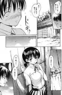 COMIC Shitsurakuten 2007-11