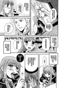 [Taiyaki Yaketa (Ikeda Shuuko)] Kore ga Watashi no Servant - This is my servant (Fate/EXTRA CCC) [Chinese] [Digital]