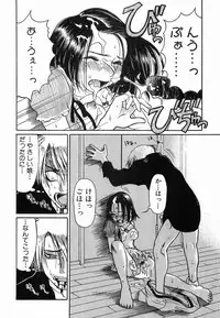 [Haneda Toshinori] PET-13