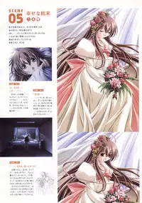 Natural 2 Duo Visual Fan Book