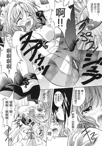 (SC25) [Red Ribbon Revenger (Various)] Kaze no Yousei 2 (Elemental Gelade) (Chinese)