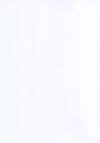 (C88) [Mitarashi Club (Mitarashi Kousei)] Try Fight! (Gundam Build Fighters Try)