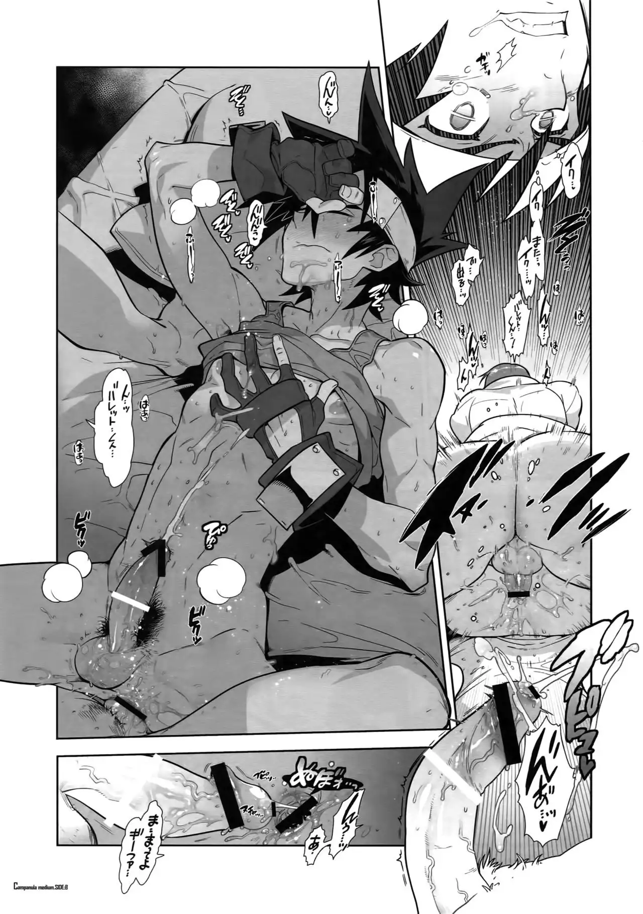 Shinrabanshou Josei Muke Doujinshi Sairokushuu