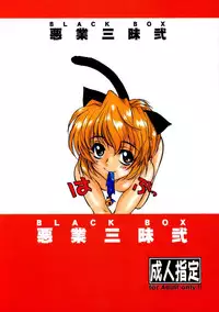 (C63) [AXZ (Harukaze Koucha)] Akugou Sanmai Ni | BLACK BOX (Neon Genesis Evangelion)