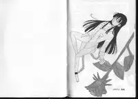 Dragonball for adult