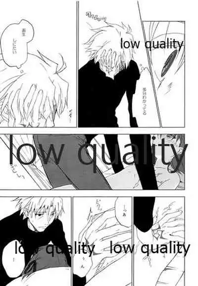 a day after the fair