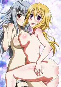 (C80) [Studio Aruta (Kusui Aruta)] IS no Hon (Kari) (IS <Infinite Stratos>)