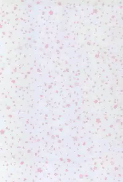 [Kitsu nebi (Sasuke)] 2-Paku 3-nichi,-kun to sakurasaku apāto de (Osomatsu-San)