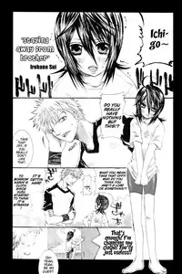 (C70) [PONCHEES (KARI) (Irohane Sui)] Rukia Kuchiki Minimum Maniax File (BLEACH) [English] [EHCOVE]