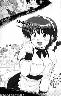 (C76) [LETTA, Romantic Shinjuu (Various)] Hyakka Ran Ran (Ranma 1/2)