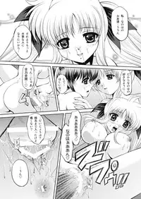 [NEKOYA-SYSTEMZ (Okazaki Nao)] Nano-chin ☆ Fa-chin ++ (Love Love) (Mahou Shoujo Lyrical Nanoha) [Digital]