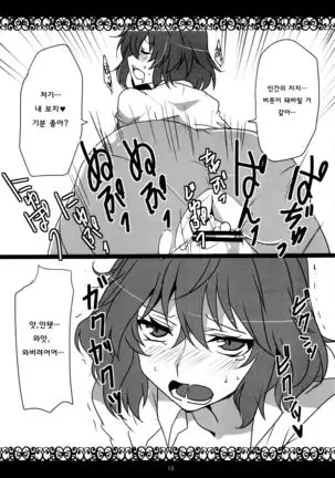 Kazami Yuuka Hatsujouchuu