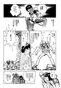 [Shibata Masahiro] Nano Sector