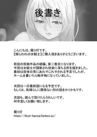 Toraware no Onna Kishi 2