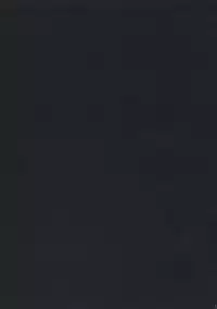 (C73) [Toko-ya (HEIZO, Kitoen)] Yasashii Uta 2 | Gentle Song 2 (Breath of Fire II) [English]