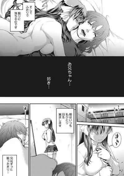 [John Sitch-Oh] Hiwaijitate no Fruits [Digital]