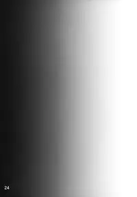 (C74)[Himekuya (Kimura Naoki)] SAMURAI INSULT! (Furai no Shiren Gaiden: Onna Kenshi Asuka Kenzan!)