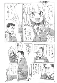 (C75) [Rikudou Juku (Hitotose Rin)] Tora Dango | Tiger Dumplings (Toradora!) [English] [DGB]