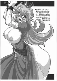 [NNZ Dan] NNZ Dan Tsuushin Metta ni Kakanai Chara Special