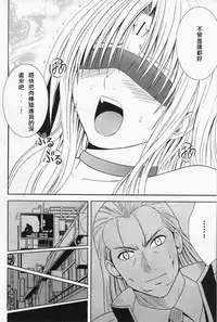 (C66) [Crimson (Carmine)] Black Cat Final (Black Cat) [Chinese] [布魯斯個人漢化] [Incomplete]