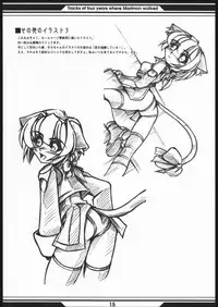 [Wildcat Pirates (MARIMON)] Memory's (Final Fantasy XI)