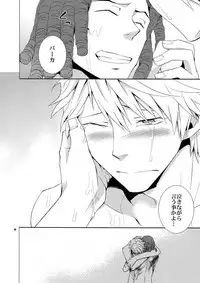 (SUPER21) [Crazy9 (Ichitaka)] Sairoku 2 (Durarara!!)