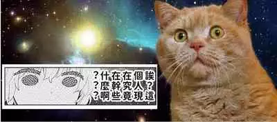 [Shiina] Noraneko Shoujo to no Kurashikata | 與野貓少女一起生活的方法 Ch. 22-28 [Chinese] [禁漫漢化組]