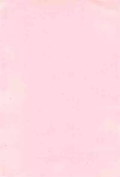 (Shotaket 11) [Monogusa (Okada Kou)] Digital (Digimon Adventure)