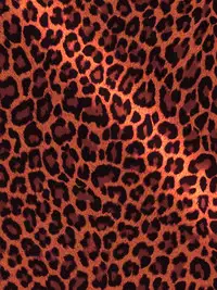 [NB Teishoku (Nabuu)] Maa-kun ga Motamota Shiteru Aida ni Megumin wa Warui Oji-san ni Hikkakarimashita (Amano Megumi ha Sukidarake!)