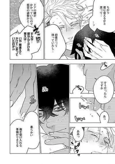 Hoshikuzu no Debutante