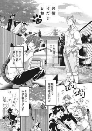 Hatsujou Kemono Biyori