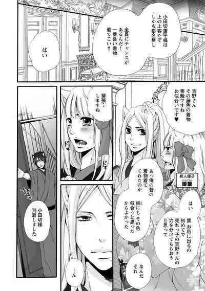 Aigan Neko no Yuuwaku