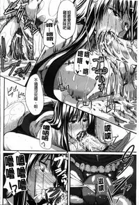 [Fue] フェラピュア[chinese]