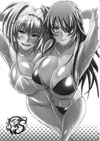 (COMIC1☆4) [Diogenes Club (Haikawa Hemlen)] Shokukan Mankan Zenseki San (Ikkitousen)