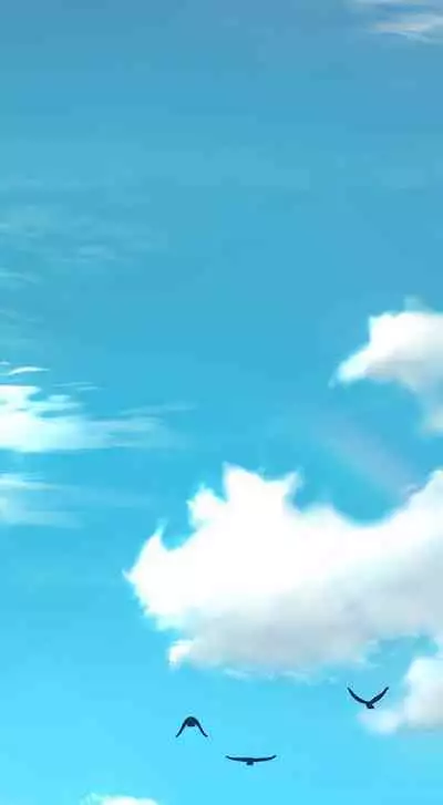 She is Working Out [Kim Mundo, MAD, YangYang] Ch.10? [English] [Manhwa PDF]