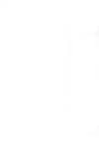 (C59) [Sagamani., Yojouhan Toshi (Sagami Inumaru, Sawatari Hitoshi)] Sweet Spot (Digimon Adventure)