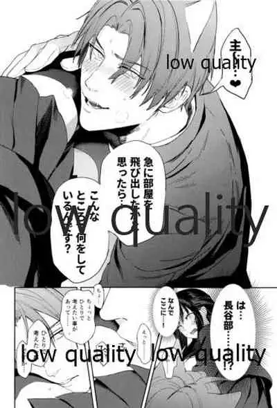 食欲旺盛な忠犬達と