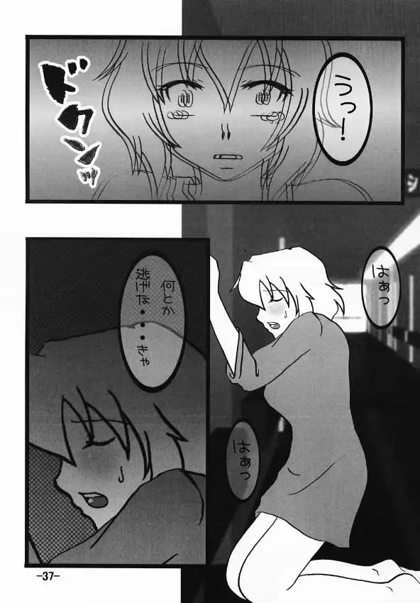 Gundam Seed Destiny - Hoheto 32