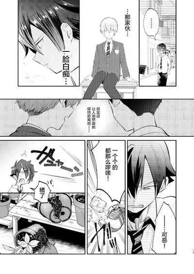 Furyou Shounen to Gakkyuu Iinchou no Himitsu