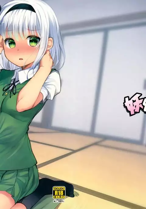 Watashi no Kanjiru Tokoro ~Youmu days~