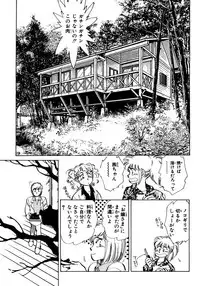 [Shibata Masahiro] Nano Sector