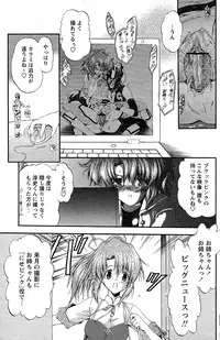 Comic Papipo 2007-08