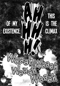 (C87) [GADGET (A-10)] GIRLIE: EX (Puella Magi Madoka Magica) [English] =LWB=