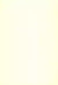 (COMIC1☆13) [Salt Peanuts (Niea)] Dearest Everybody 0.7 (Nichijou)