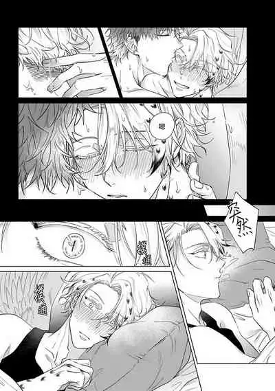 Fukurou no Koiwazurai | 猫头鹰的相思病