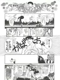 (Comic Castle 8) [Paradise City (Various)] Tabeta Kigasuru 17 (Neon Genesis Evangelion)