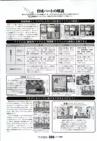 (一般画集) [戯画] ForSeason～めぐりゆく季節の中で～ 攻略&設定資料集