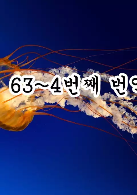 ウチの子1241日記念〆