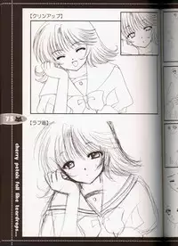 (C63) [JOKER TYPE (Nishimata Aoi)] rebirth (Sore wa Maichiru Sakura no Youni)